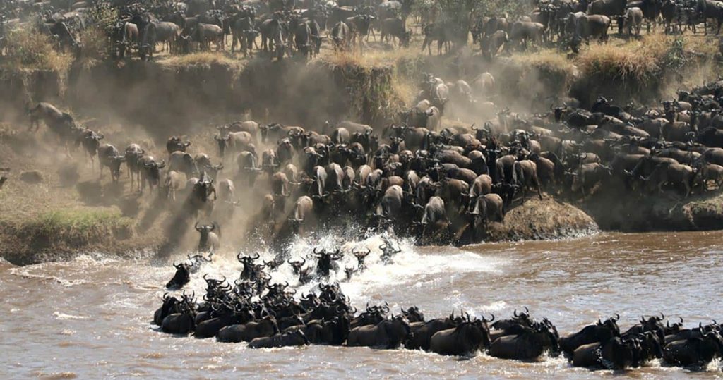 Best Time to Visit Serengeti