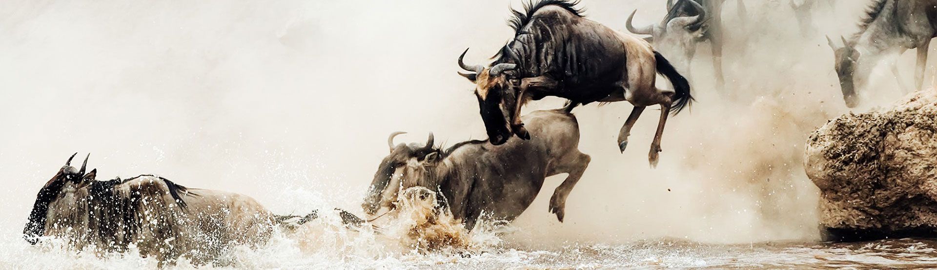 Mara River Crossings in Northern Serengeti